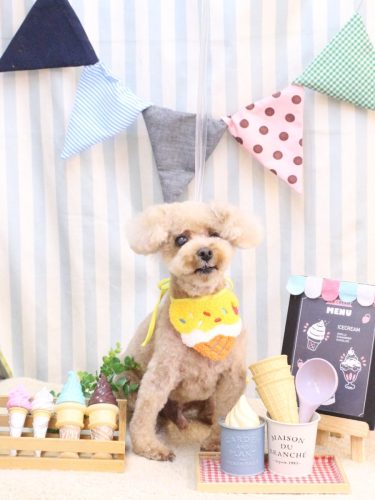 20250522クッキーくん